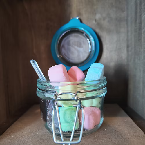 Freeze-Dried Lucky Bites